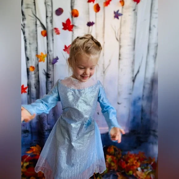 Frozen II backdrop - Picture 4 of 8